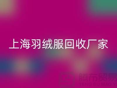 羽绒服MK体育(MKsports集团)股份公司:环保与经济的双重考量,上海厂家引领行业新风尚