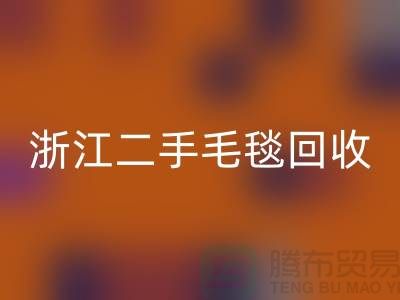 二手毛毯MK体育(MKsports集团)股份公司,旧物新生的【浙江,上海,江苏】绿色的库存之旅