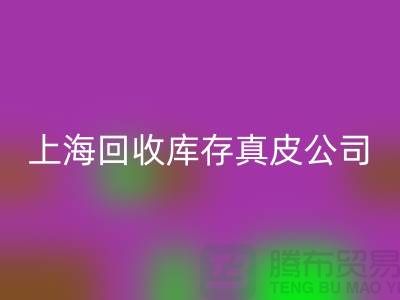 环保与创新：MK体育(MKsports集团)股份公司库存真皮和羊皮的重要性_上海腾布贸易ShTengBu.com