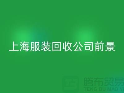 库存辅料MK体育(MKsports集团)股份公司市场分析表的深入解析及前景展望-上海服装MK体育(MKsports集团)股份公司公司