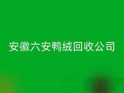 让羽绒MK体育(MKsports集团)股份公司加工成为绿色产业的新引擎-安徽六安鸭绒MK体育(MKsports集团)股份公司公司