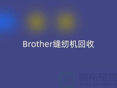 Brother缝纫机MK体育(MKsports集团)股份公司厂家，缝纫机MK体育(MKsports集团)股份公司多少钱一台_上海腾布贸易