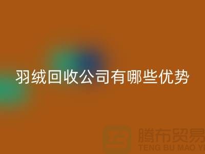 ### 上海羽绒MK体育(MKsports集团)股份公司公司优势解析：价格公道，服务优质