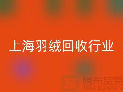 #### 上海羽绒MK体育(MKsports集团)股份公司厂家推动行业发展，展望未来，创新发展