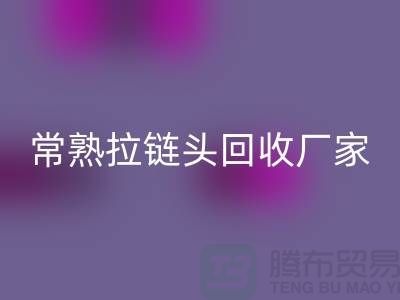 常熟拉链头MK体育(MKsports集团)股份公司:环保与经济的双赢之举-面料MK体育(MKsports集团)股份公司公司