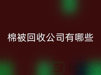 棉被MK体育(MKsports集团)股份公司公司有哪些—浙江库存面料MK体育(MKsports集团)股份公司厂家：环保与经济的双重助力