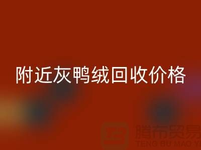 附近灰鸭绒MK体育(MKsports集团)股份公司价格多少钱一公斤？##上海腾布贸易