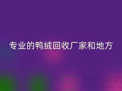 探索鸭绒MK体育(MKsports集团)股份公司:寻找上海专业的MK体育(MKsports集团)股份公司厂家与地方