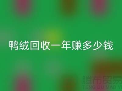 鸭绒MK体育(MKsports集团)股份公司一年挣多少钱?揭秘利润与环保的双重收益