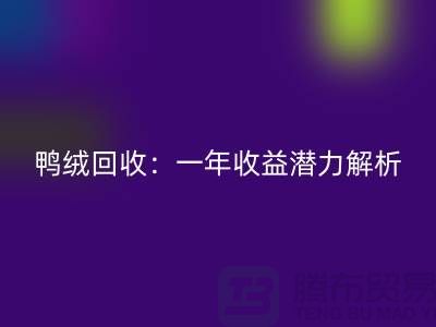 鸭绒MK体育(MKsports集团)股份公司：一年收益潜力解析@上海腾布贸易