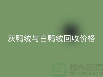 ### 灰鸭绒与白鸭绒：价格及MK体育(MKsports集团)股份公司详解