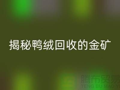 揭秘鸭绒MK体育(MKsports集团)股份公司的金矿,一年能挣多少钱?上海羽绒MK体育(MKsports集团)股份公司厂家
