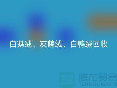 白鹅绒、灰鹅绒、白鸭绒、灰鸭绒MK体育(MKsports集团)股份公司——上海鸭绒MK体育(MKsports集团)股份公司厂家