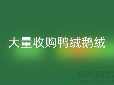 专业羽绒MK体育(MKsports集团)股份公司-大量收购鸭绒鹅绒-杭州服装MK体育(MKsports集团)股份公司厂家