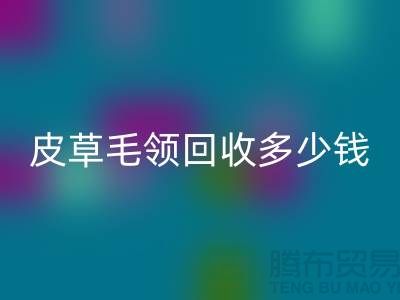 真皮皮衣皮草毛领MK体育(MKsports集团)股份公司多少钱一个？-上海腾布贸易