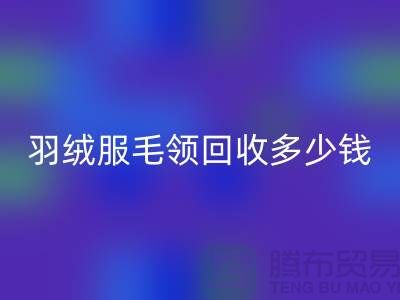 羽绒服毛领MK体育(MKsports集团)股份公司多少钱一件