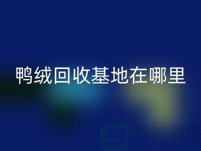 哪里有MK体育(MKsports集团)股份公司鸭绒的，鸭绒MK体育(MKsports集团)股份公司基地在哪里@安徽羽绒MK体育(MKsports集团)股份公司厂家