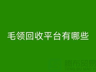 毛领MK体育(MKsports集团)股份公司平台有哪些公司或者品牌