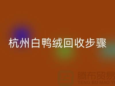 ### 纯白 70 绒、80 绒、90 鸭绒MK体育(MKsports集团)股份公司步骤@杭州羽绒MK体育(MKsports集团)股份公司厂家