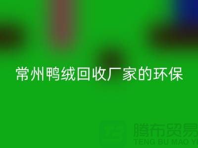 # 专业羽绒MK体育(MKsports集团)股份公司:常州鸭绒MK体育(MKsports集团)股份公司厂家的环保与价值之旅