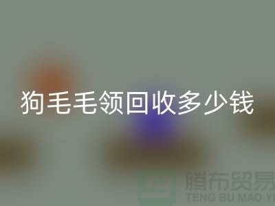 狗毛毛领MK体育(MKsports集团)股份公司多少钱一条