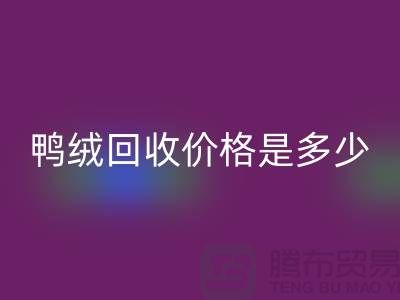 鸭绒MK体育(MKsports集团)股份公司价格是多少?详解鸭绒市场行情-鸭绒专业MK体育(MKsports集团)股份公司厂家