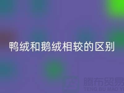 鸭绒和鹅绒相较后的区别-90鸭绒MK体育(MKsports集团)股份公司-库存羽绒MK体育(MKsports集团)股份公司公司