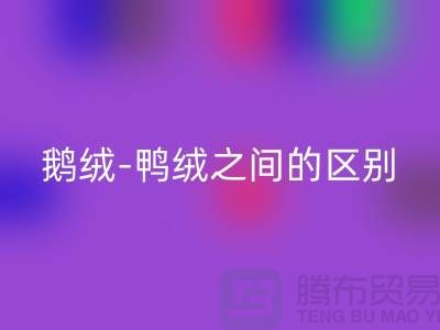 关于鹅绒-鸭绒之间的区别-鹅绒MK体育(MKsports集团)股份公司-鸭绒MK体育(MKsports集团)股份公司-羽绒MK体育(MKsports集团)股份公司厂家