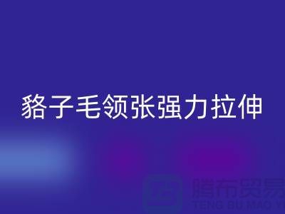 貉子毛领的皮张强力拉伸-为什么不变型-高价MK体育(MKsports集团)股份公司毛领厂家