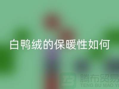 白鸭绒的保暖性如何-90鸭绒MK体育(MKsports集团)股份公司-MK体育(MKsports集团)股份公司库存鸭绒-库存鸭绒MK体育(MKsports集团)股份公司公司