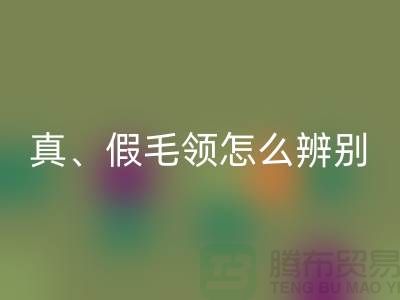 真毛领、假毛领怎么辨别?小心獭兔毛-大量高价MK体育(MKsports集团)股份公司毛领厂家
