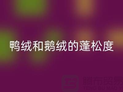 鸭绒和鹅绒的蓬松度如何识别-MK体育(MKsports集团)股份公司库存鸭绒-MK体育(MKsports集团)股份公司库存鹅绒厂家