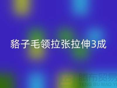 貉子毛领的皮张拉伸3成,痕迹客户也看不出来-MK体育(MKsports集团)股份公司毛领厂家
