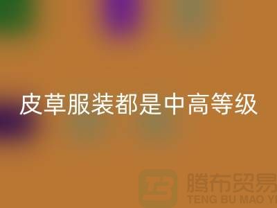 上W块十几W的皮草服装都是中高等级的皮制作的-MK体育(MKsports集团)股份公司毛领厂家