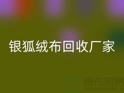 银狐绒布MK体育(MKsports集团)股份公司厂家:让旧衣物焕发新生-服装面料MK体育(MKsports集团)股份公司公司