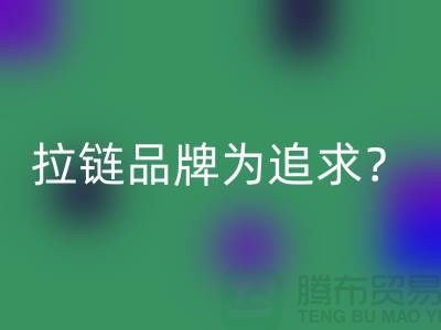 拉链品牌为追求？还是为时尚？_废铜拉链MK体育(MKsports集团)股份公司公司