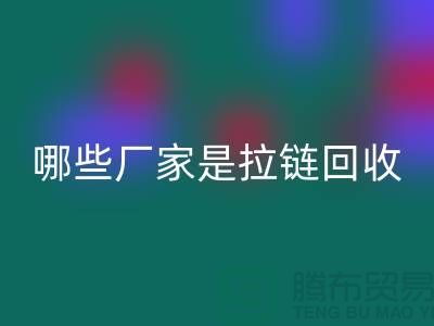 哪些厂家是拉链MK体育(MKsports集团)股份公司的领导者-库存拉链MK体育(MKsports集团)股份公司厂家排名榜