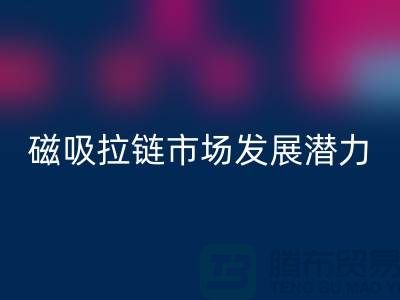 磁吸拉链市场发展潜力研究分析报告_上海拉链MK体育(MKsports集团)股份公司公司