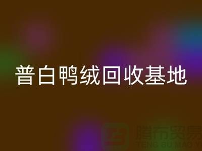 普白鸭绒MK体育(MKsports集团)股份公司基地：环保与经济的完美结合-纯白鹅绒MK体育(MKsports集团)股份公司厂家