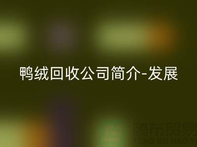 鸭绒MK体育(MKsports集团)股份公司公司简介-发展背景-业务范围-技术优势-鹅绒MK体育(MKsports集团)股份公司厂家