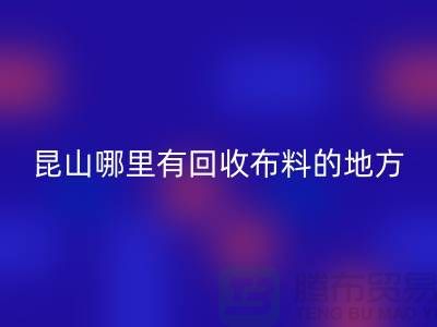 常熟-张家港-如皋-苏州-吴江-昆山哪里有MK体育(MKsports集团)股份公司布料的地方