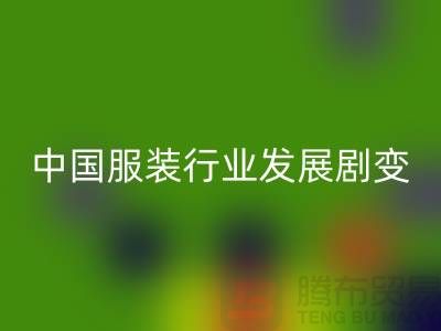 中国服装行业发展剧变-成败重要途径-上海库存服装MK体育(MKsports集团)股份公司公司