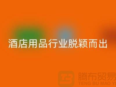 如何在酒店用品MK体育(MKsports集团)股份公司行业中脱颖而出-上海二手毛巾MK体育(MKsports集团)股份公司公司
