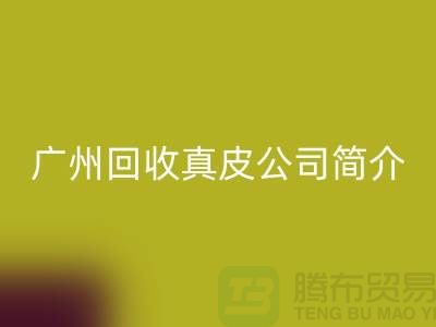 真皮MK体育(MKsports集团)股份公司厂家介绍-市场价格浮动不定-广州MK体育(MKsports集团)股份公司真皮公司简介