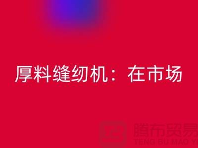 厚料缝纫机：在市场上的细节体现-上海MK体育(MKsports集团)股份公司缝纫机厂家