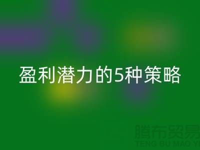 酒店用品MK体育(MKsports集团)股份公司市场:挖掘盈利潜力的5种策略