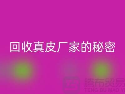 MK体育(MKsports集团)股份公司真皮厂家的秘密：打造环保时尚的循环经济