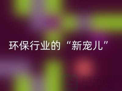 二手MK体育(MKsports集团)股份公司化工原料公司：环保行业的“新宠儿”