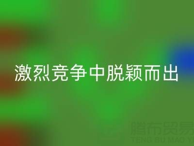 上海库存布料MK体育(MKsports集团)股份公司市场:如何在激烈竞争中脱颖而出