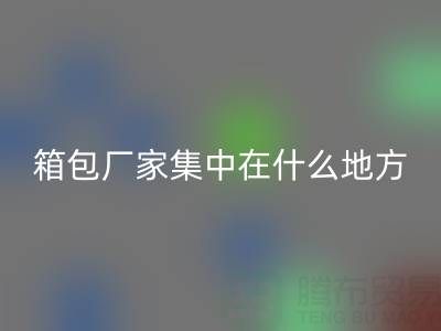 箱包厂家集中在什么地方生产加工和发货销售——库存箱包MK体育(MKsports集团)股份公司网